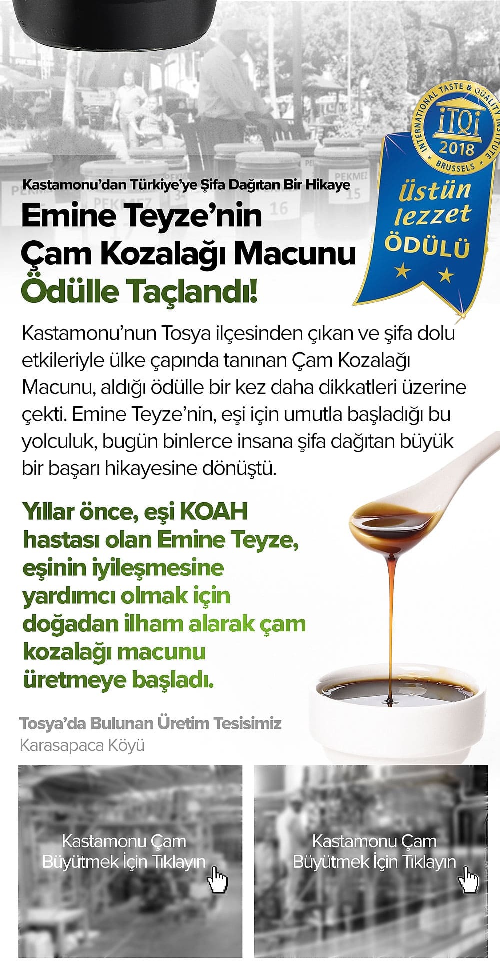 Çam Kozalağı Macunu hikâye ve ürün bilgilendirme görseli